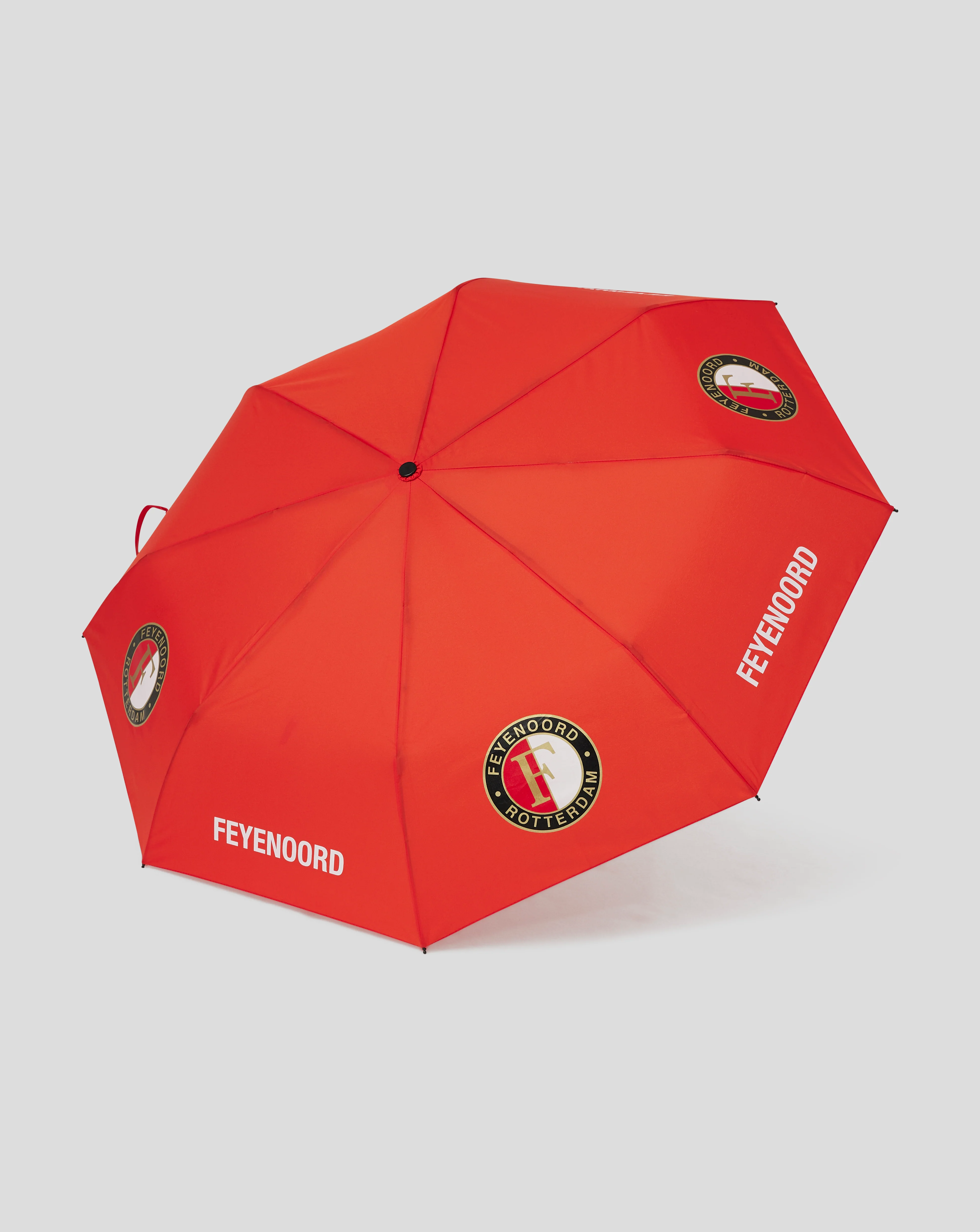 Miniatuur 3